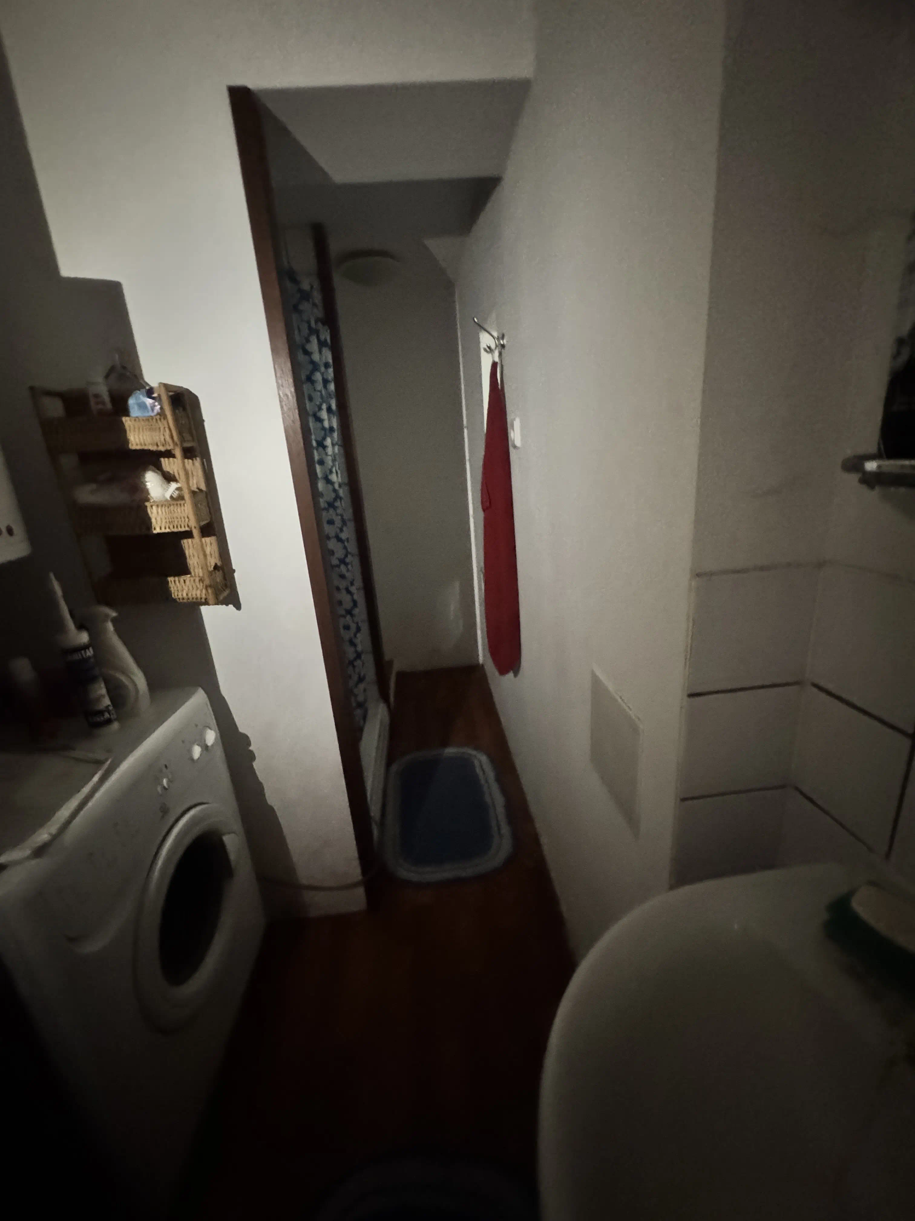 Badkamer van woonboerderij te koop, Tjechie.
